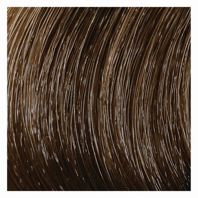 COLOR &amp; SOIN ammoniaagivaba juuksevärv 5GM Cappuccino Light Chestnut 135 ml