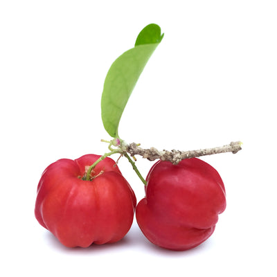 3 CHÊNES Acerola VitC 500, tabletid N24